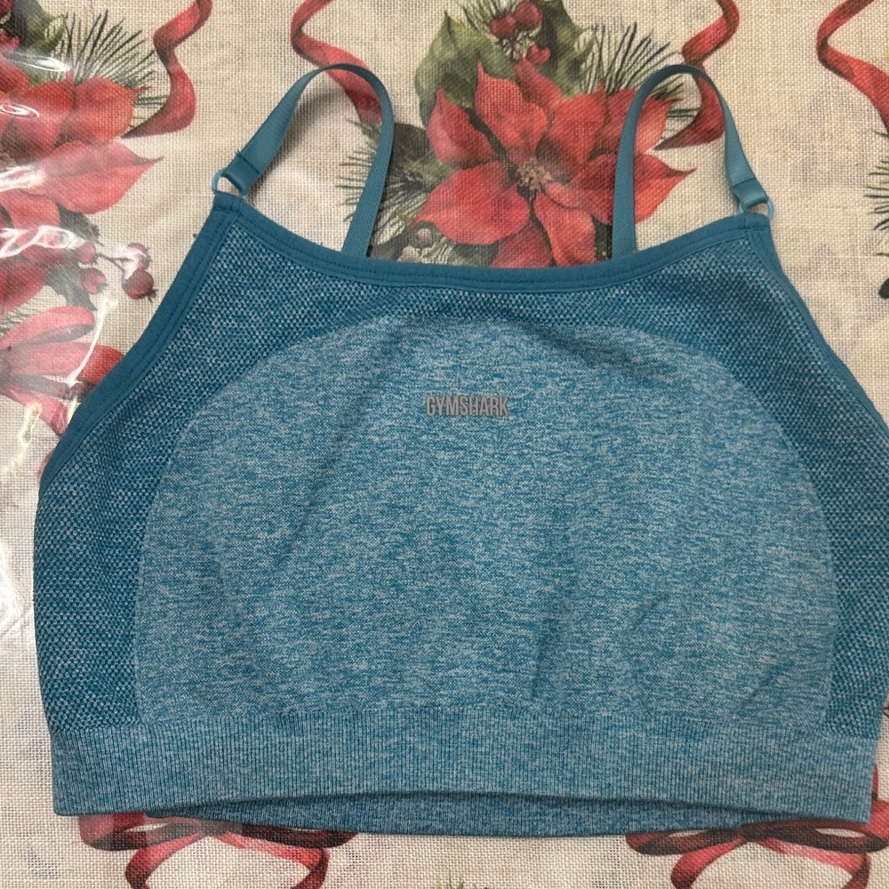 Gymshark Teal Sports Bra